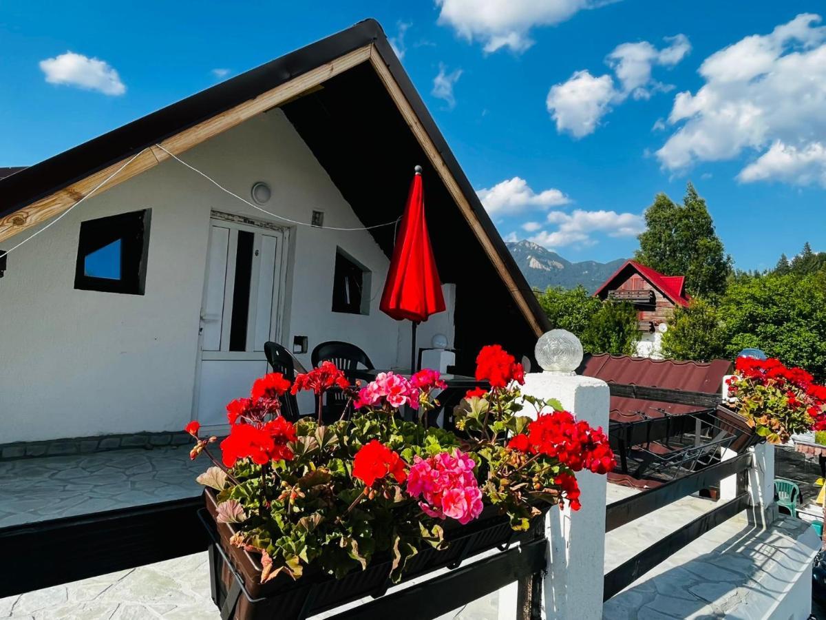Poarta Zaganului Cheia Hotel Cheia  Eksteriør billede